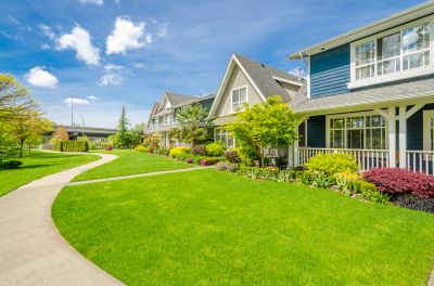 Restore Your Lawn!