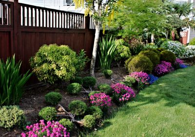 Get a Consultation and Create The Perfect Landscape Today!