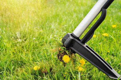 Ensure Top Quality Results By Investing in Professional Landscaping Weed Control!