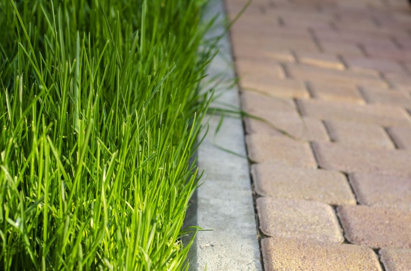 Get Professional Lawn Edging To Prevent Weed Growth!