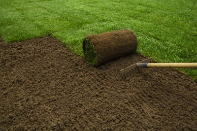 Lawn Installation Service