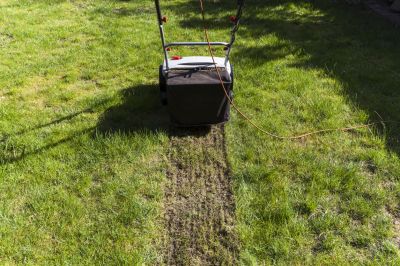 Restore Your Lawn to a Great Condition by Removing Moss!