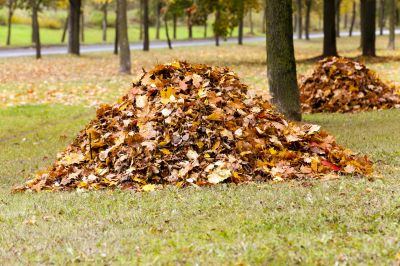 Improve Drainage and Air Circulation!