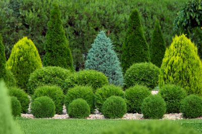Enhanced Outdoor Aesthetics!