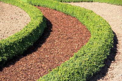 Mulch Replacement