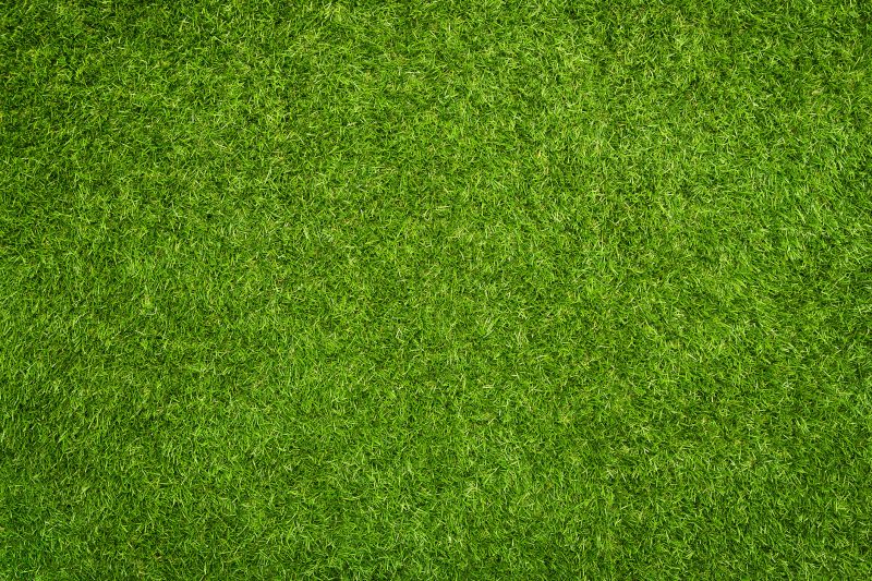 Outdoor Field Turf Installation