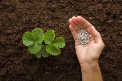 Ensure Proper Nutrient Balance With Professional Fertilizing Service!