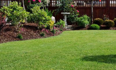 Get Effective and Efficient Planting!
