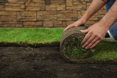 Sod Planting
