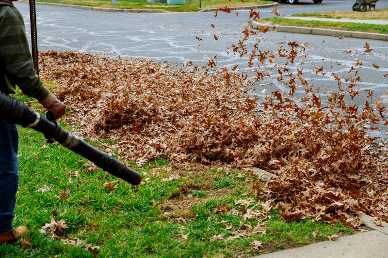 Leaf Removal