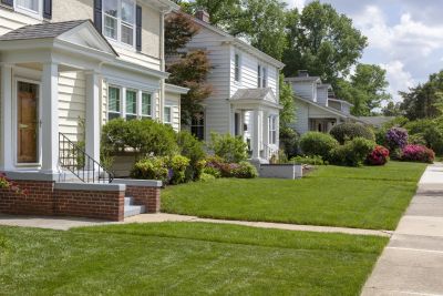 Increase The Density of Your Lawn With Professional Fertilizing