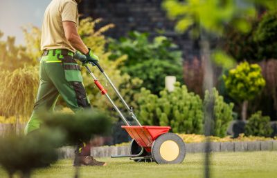 Residential Lawn Fertilizing