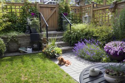 Make the Most of Your Small Yard with Professional Landscaping!
