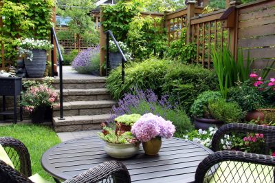 Small Yard Landscaping
