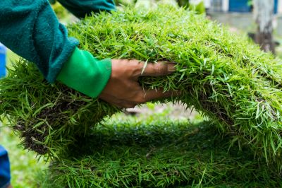 Sod Repair Service