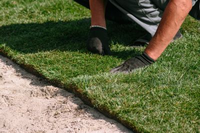 Restore Damaged Areas of Your Lawn with Sod Repair!