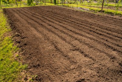 Prepare and Manage Soil for Gardening or Planting Crops!