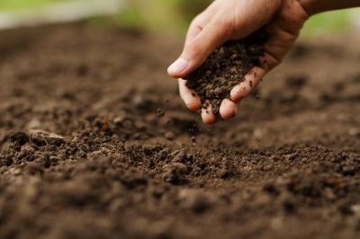 Soil Cultivation Services