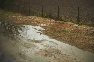 Protect Your Landscaping From Catastrophic Erosion