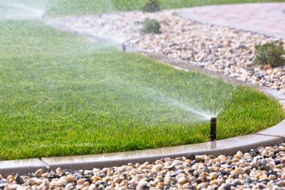 Sprinkler System Cleaning