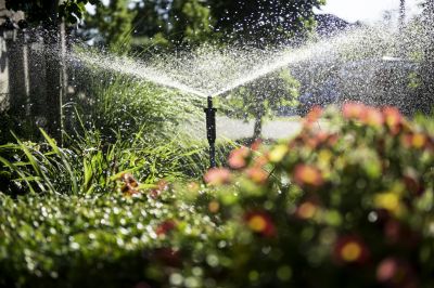 Sprinkler System Inspection
