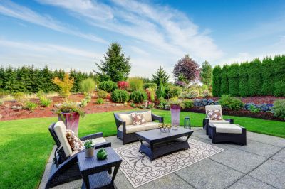 Backyard Renovation