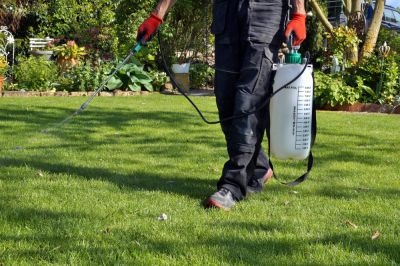 Lawn Weed Control Service