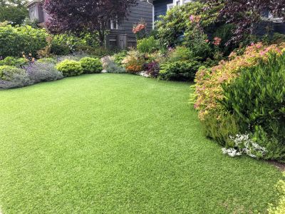 Fake Grass Needs Very Little Maintenance!