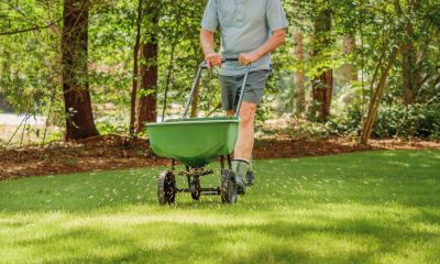 Promote the Healthy Growth of Your Grass and Plants!