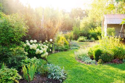 Improve the Health of the Plants with Fertilization!