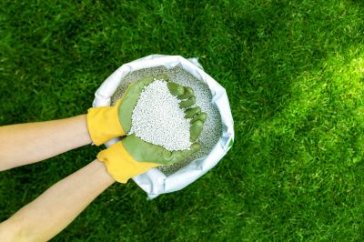 Fertilizing Service