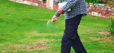 Get Your Grass Seeded to Improve Grass Patches!