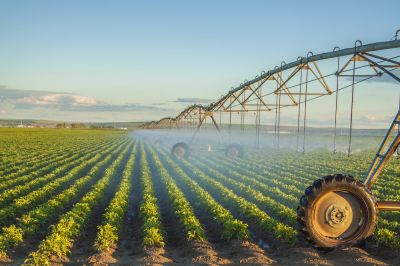Ensure Your Irrigation System is Working Efficiently!
