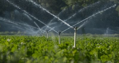 Plant Irrigation Service