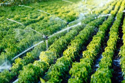 Prevent Expensive Repairs to Your Irrigation System!