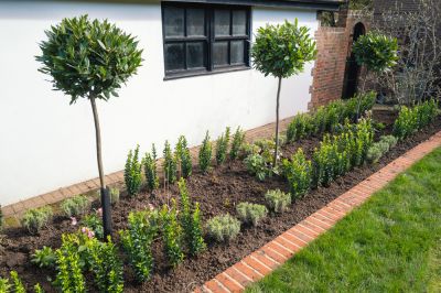 Prevent Weeds From Creeping Into Your Garden