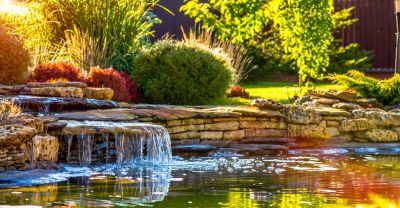 Beautify Your Outdoor Space!