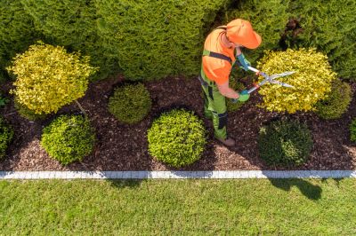 Landscaping Service
