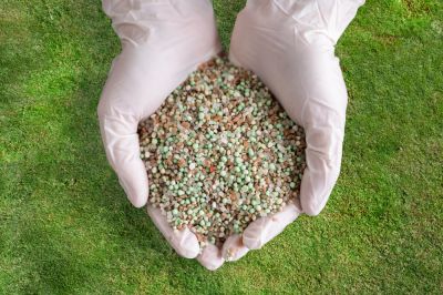 Landscape Fertilization