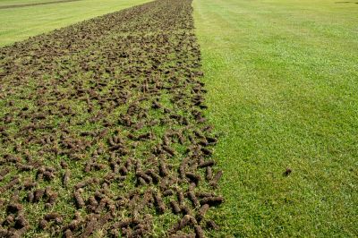 Improve Soil Oxygenation!