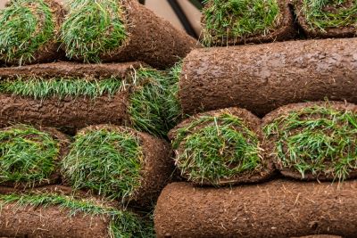 Repair Missing Spots in Your Lawn with Sod Repair!