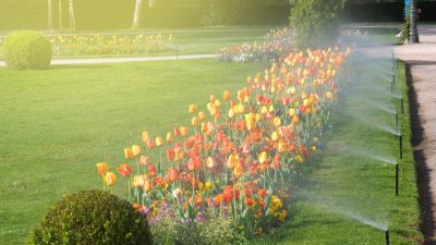 Encourage Healthy Plant Growth