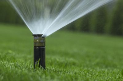 Reduce Water Waste