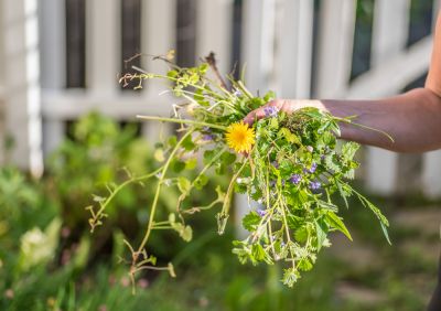 Keep Weeds From Overtaking Your Lawn
