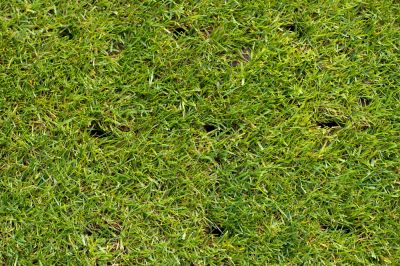 Get Professional Aerating Today!