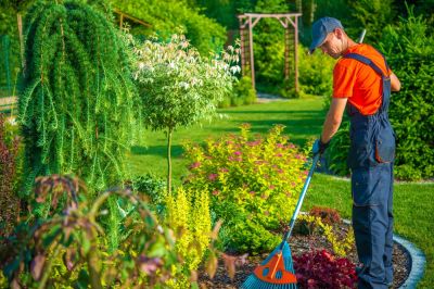Yard Clean Up