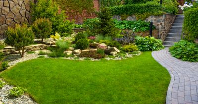 Backyard Landscaping
