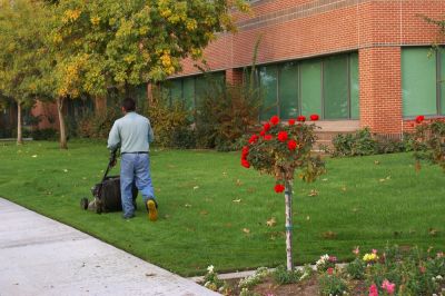 Commercial Landscaping