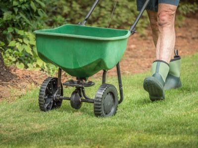 Commercial Lawn Seeding