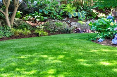 Landscaping Services
